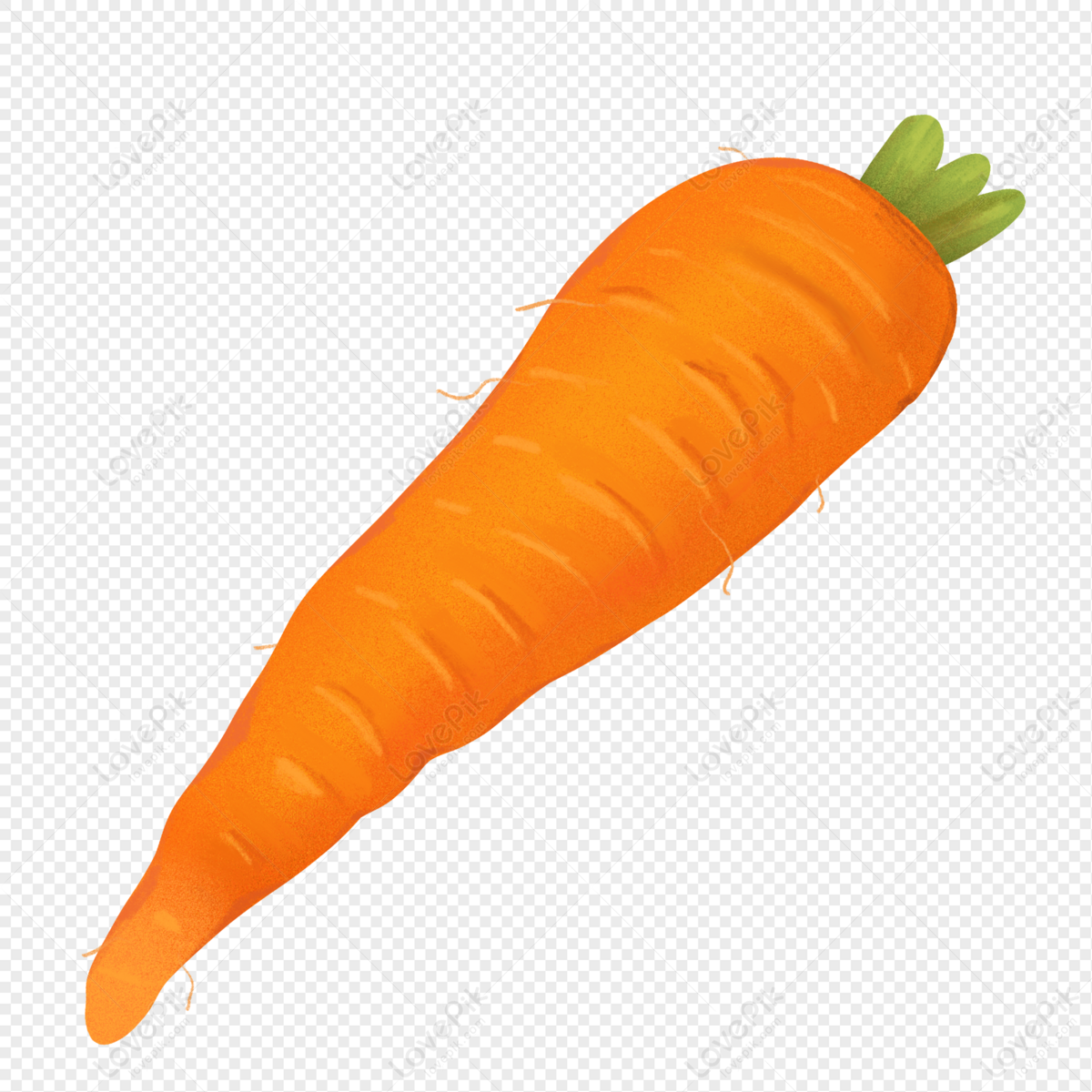 Hand Drawn Vegetable Carrot, Healthy, Drawn, Hand Drawn PNG Transparent ...