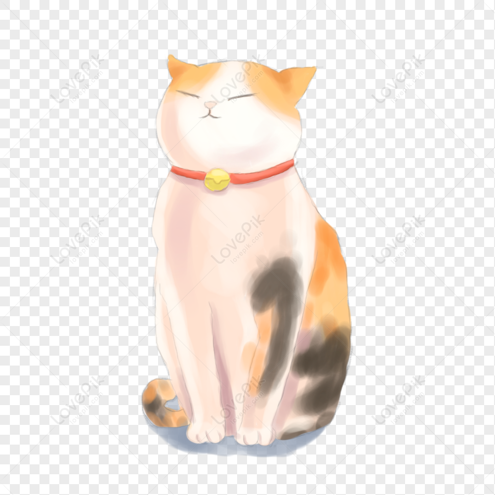 Kneeling Cat, Kittens, Cat Material, Cat PNG Picture And Clipart Image ...