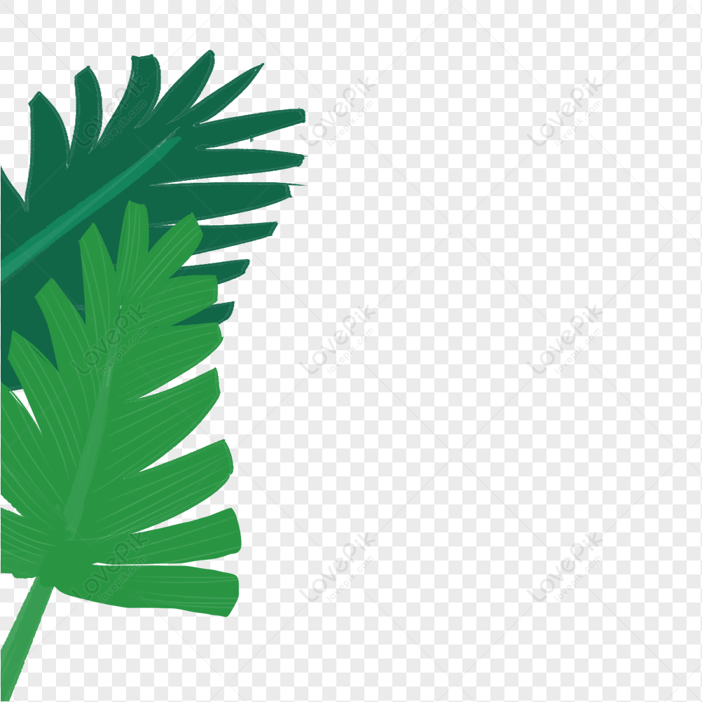 Leaves, Green Leaves, Leaves Vector, Exotic Leaves PNG Transparent ...