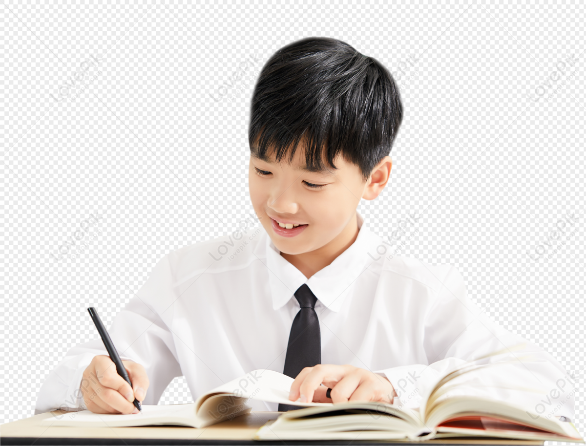 Primary school student writing homework, and homework, asian student, primary png free download