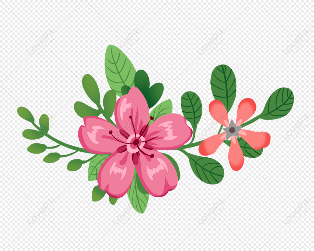 Rama De Flores Rojas PNG Imágenes Gratis - Lovepik