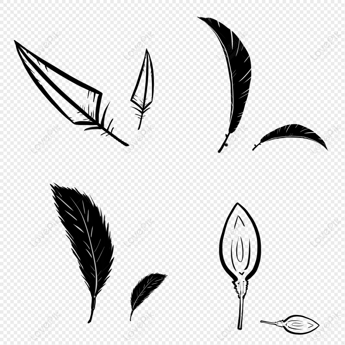 White Feather transparent PNG - StickPNG