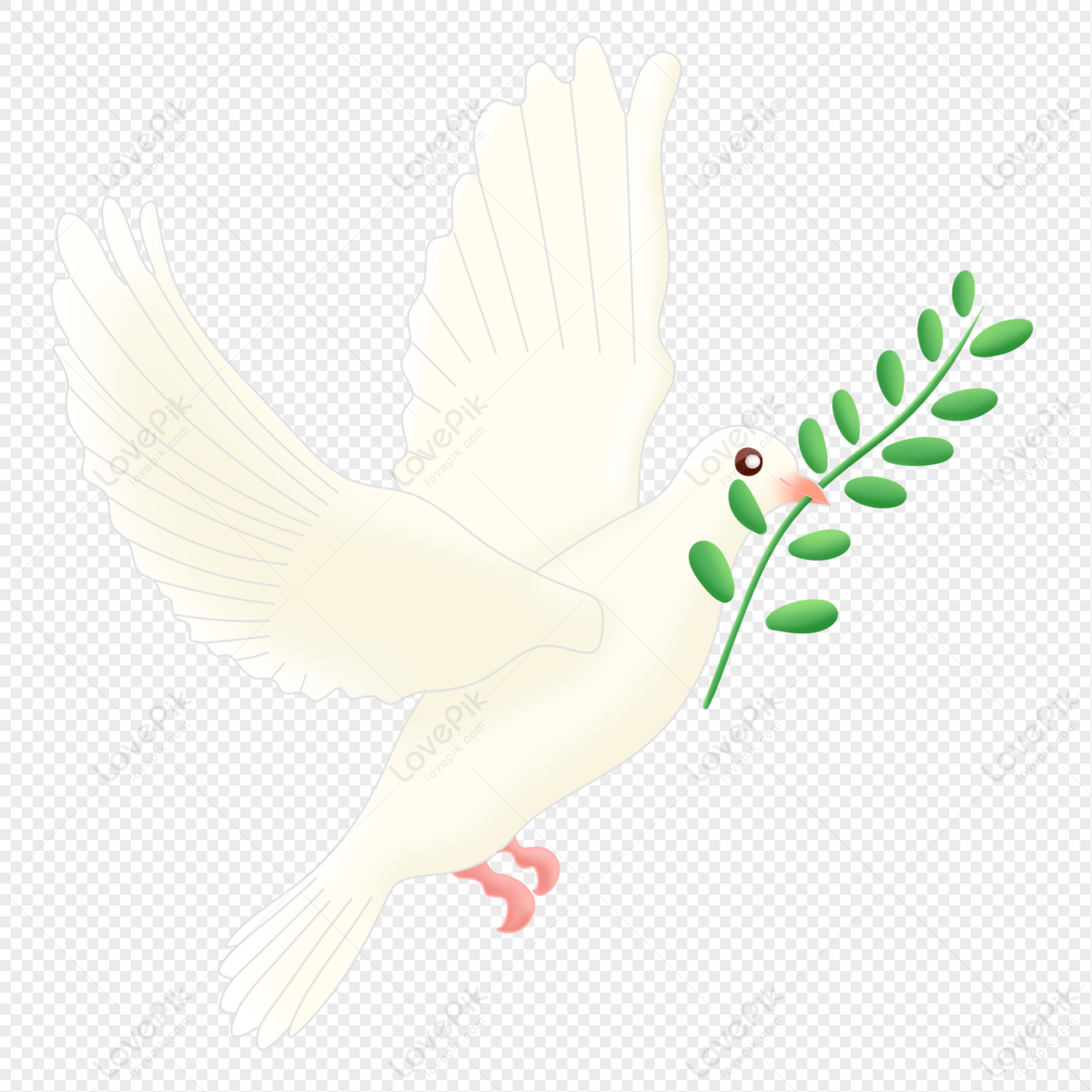 white pigeon flying png