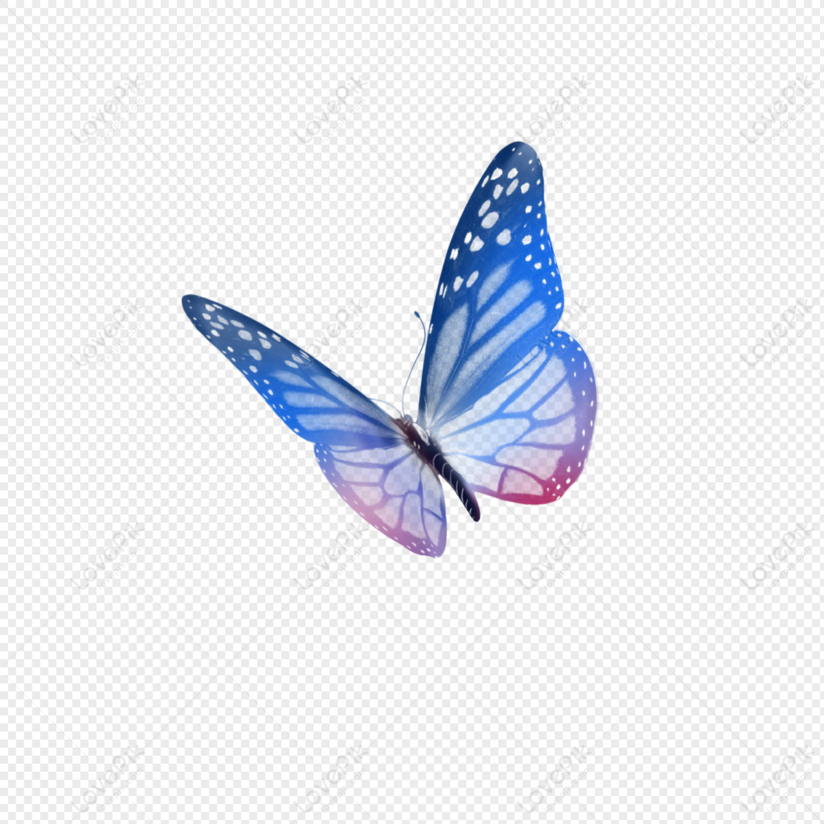Hình ảnh bướm xanh PNG với nền trong suốt: Cùng đắm chìm trong vẻ đẹp của một loài bướm xanh tuyệt đẹp với những lá và hoa nổi bật trên nền hình trong suốt, tạo nên một ảnh chụp tuyệt đẹp mà bạn muốn xem đi xem lại.