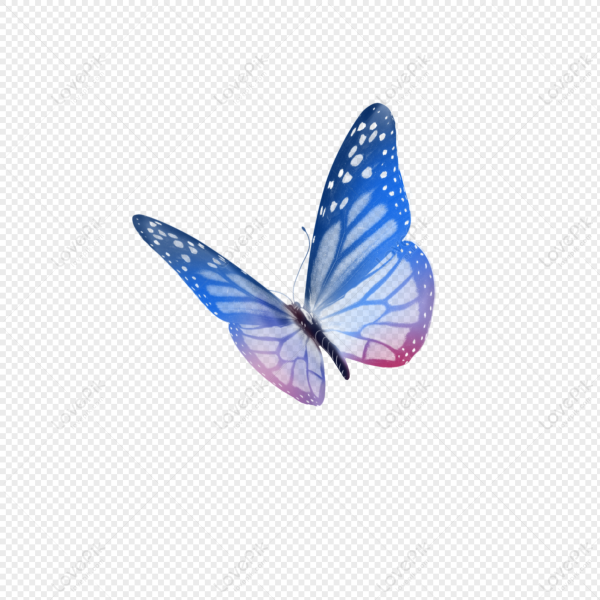 blue butterfly transparent background