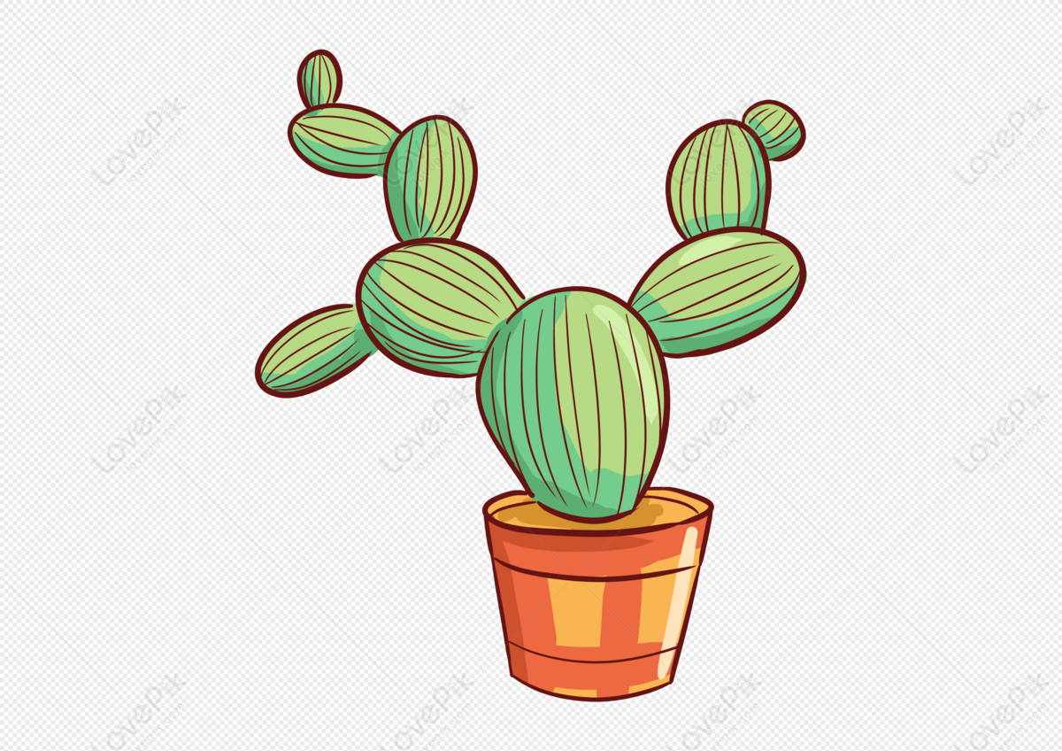 Desenho de Cactaceae, bola de cacto, cartaz, bola de discoteca png