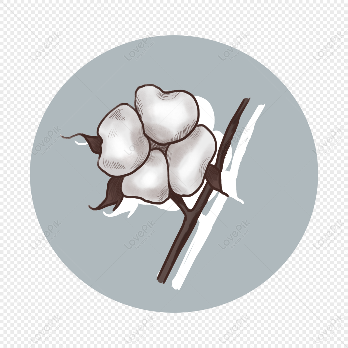 A Cotton Plant PNG Images | PSD Free Download - Pikbest