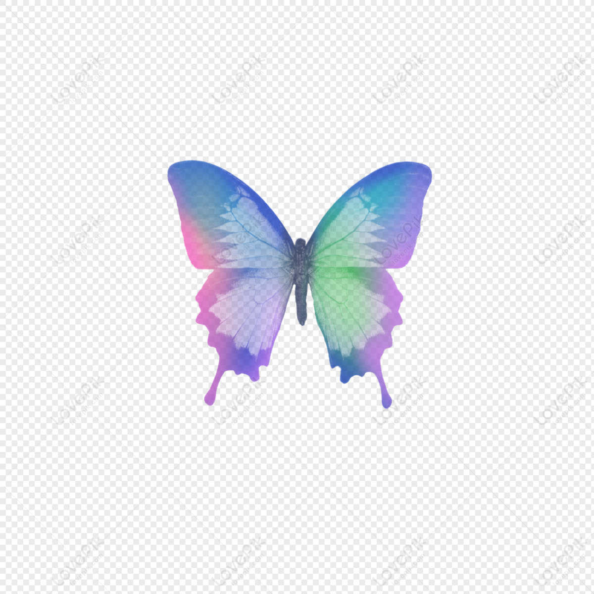 Mariposas De Colores PNG Imágenes con Fondo Transparente | Descarga  Gratuita en 