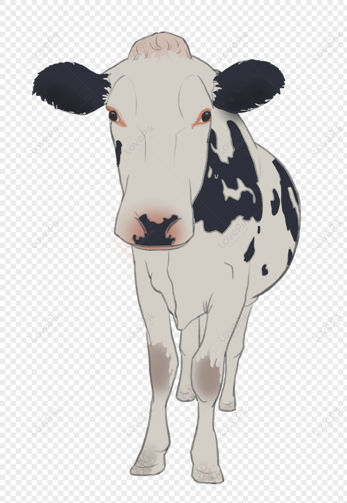Cow Anime by Taschentuch on DeviantArt