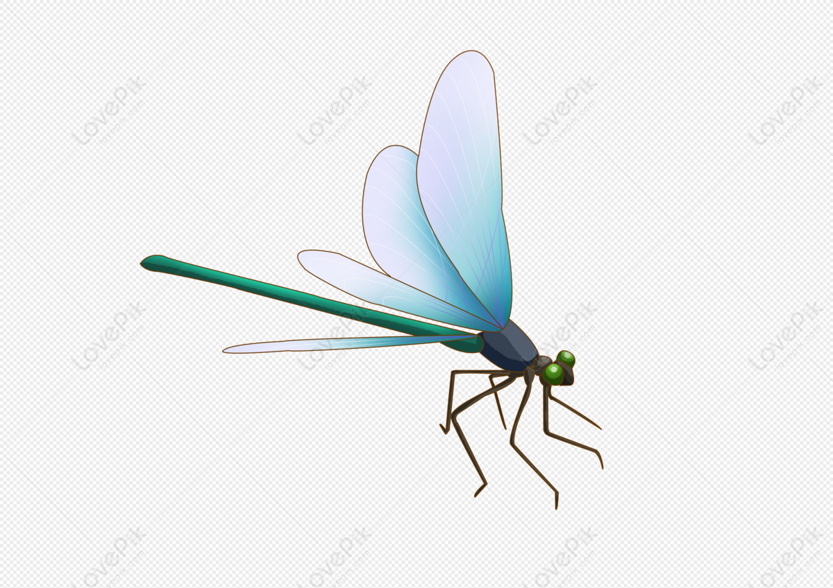 Hình ảnh Dragonfly PNG Miễn Phí Tải Về - Lovepik