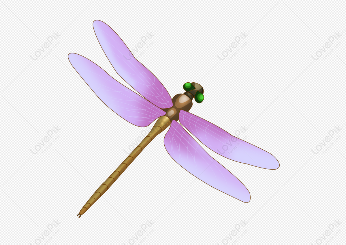 Hình ảnh Dragonfly PNG Miễn Phí Tải Về - Lovepik