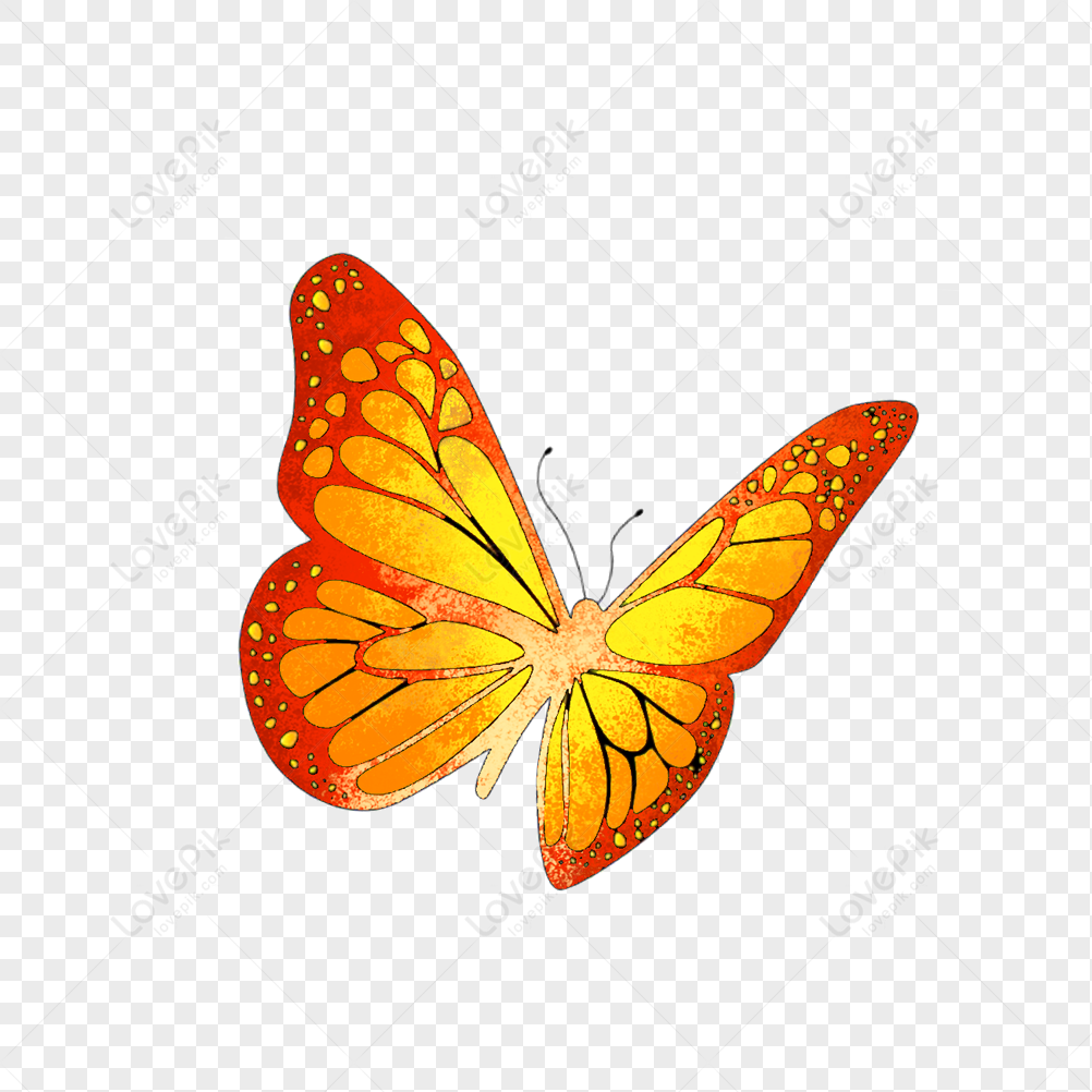 Flying Butterfly, Fly Butterfly, Flying, Butterfly PNG Picture And Clipart  Image For Free Download - Lovepik