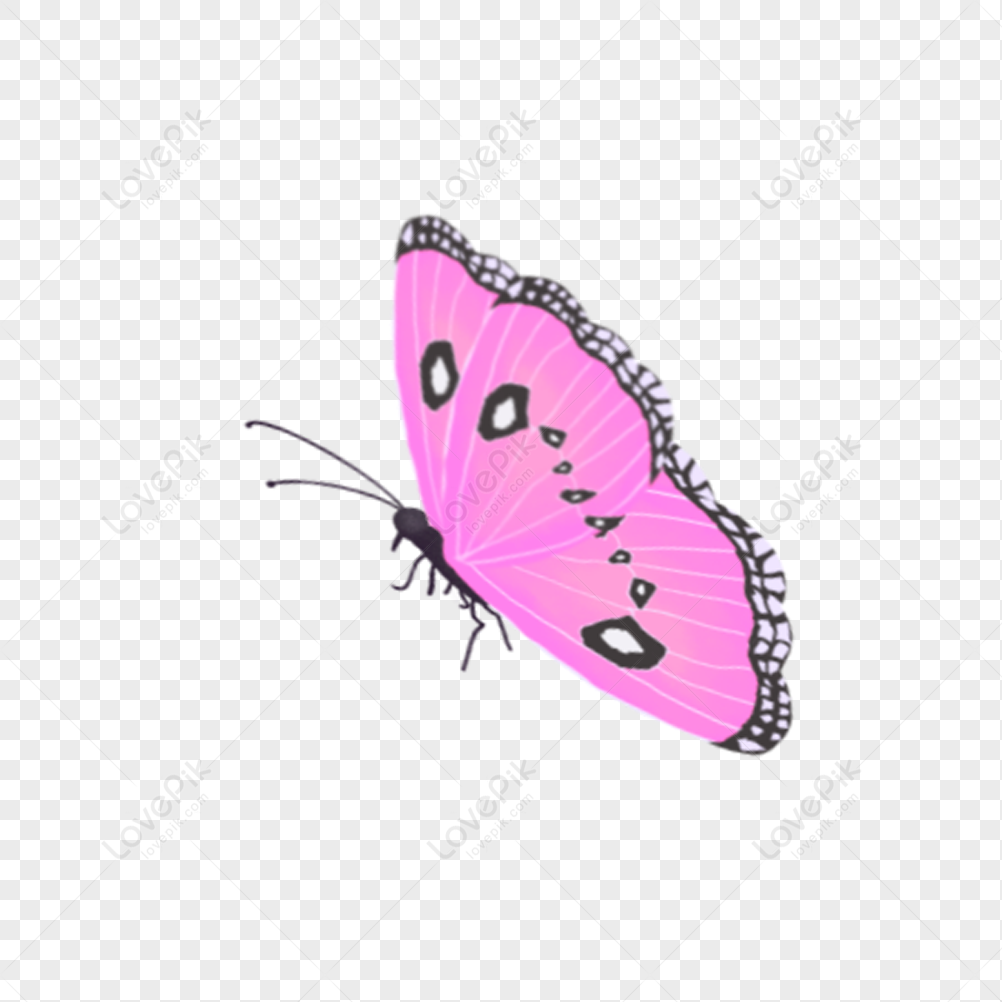pink flying butterfly clipart