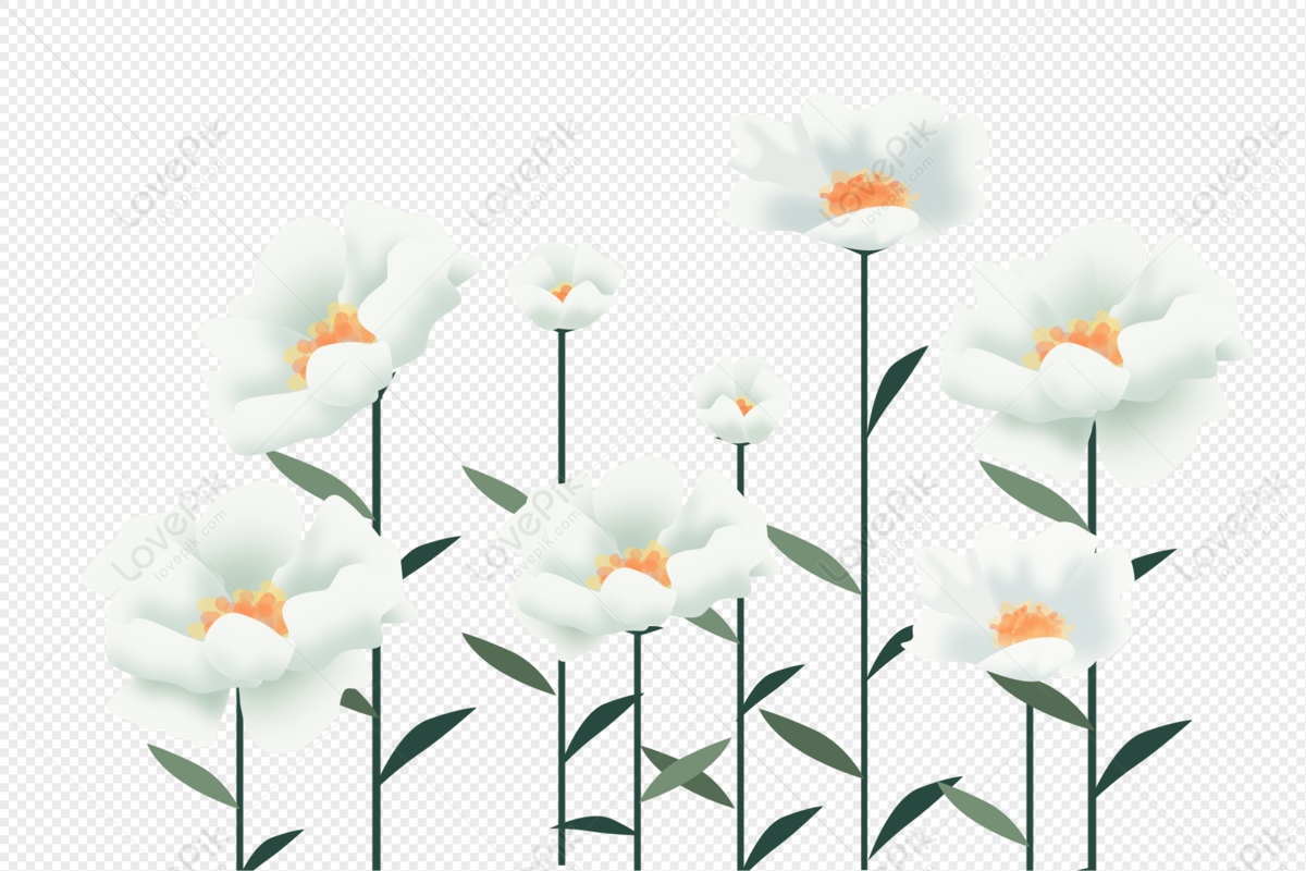 Dibujado A Mano Dibujos Animados Flores Blancas Elementos Vector PNG  Imágenes Gratis - Lovepik