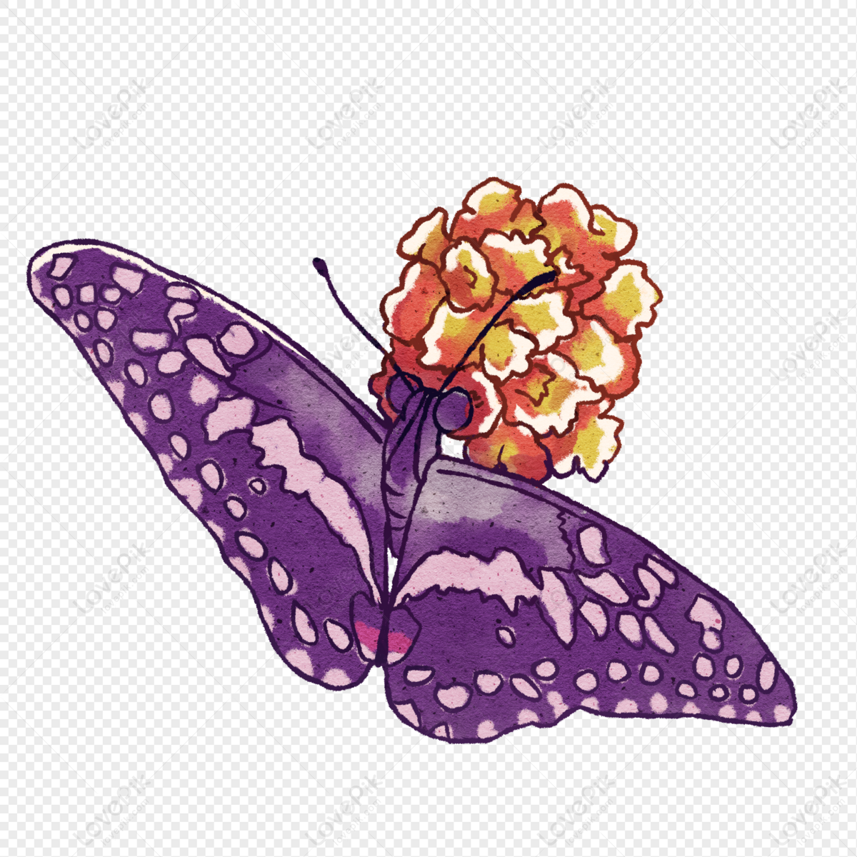 Dibujado A Mano Verano Flor De Insecto Mariposa PNG Imágenes Gratis -  Lovepik