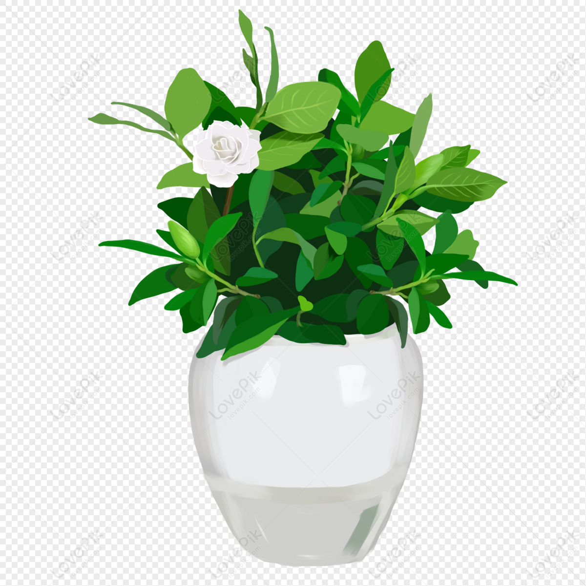 Flor Pintada A Mano Blanco Gardenia Elementos En Maceta PNG Imágenes Gratis  - Lovepik