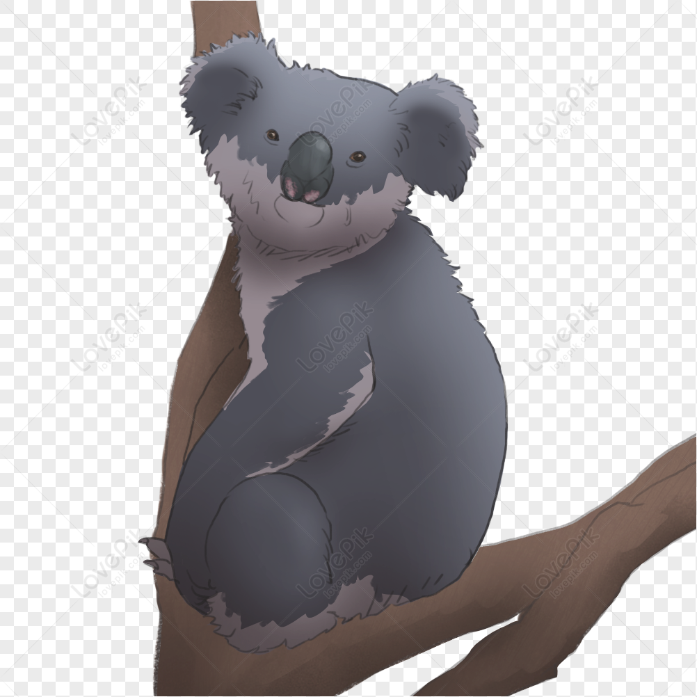 Cartoon Koala On A Tree: Over 6,589 Royalty-Free Licensable Stock Vectors &  Vector Art | Shutterstock
