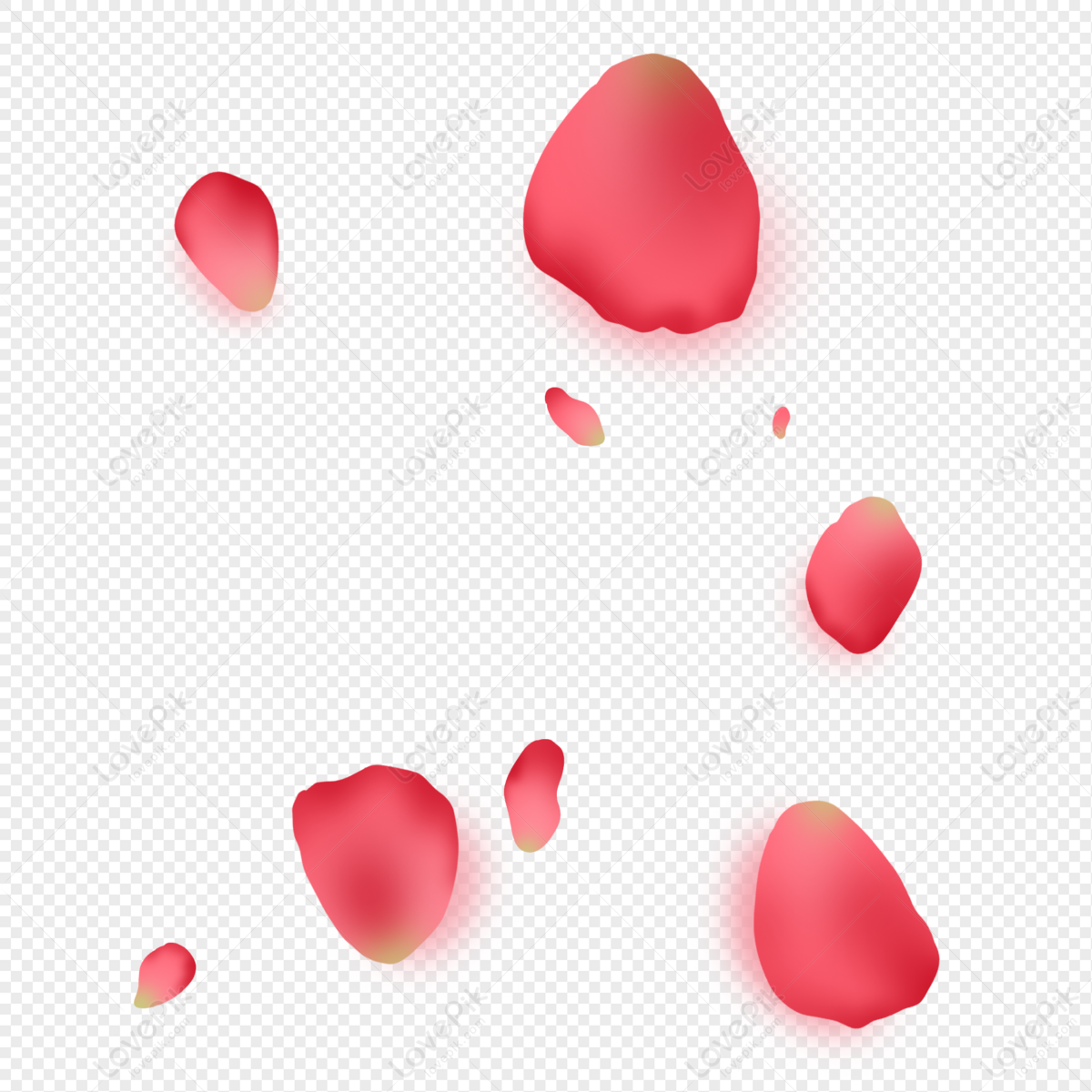 Pink Petals PNG Transparent Images Free Download, Vector Files