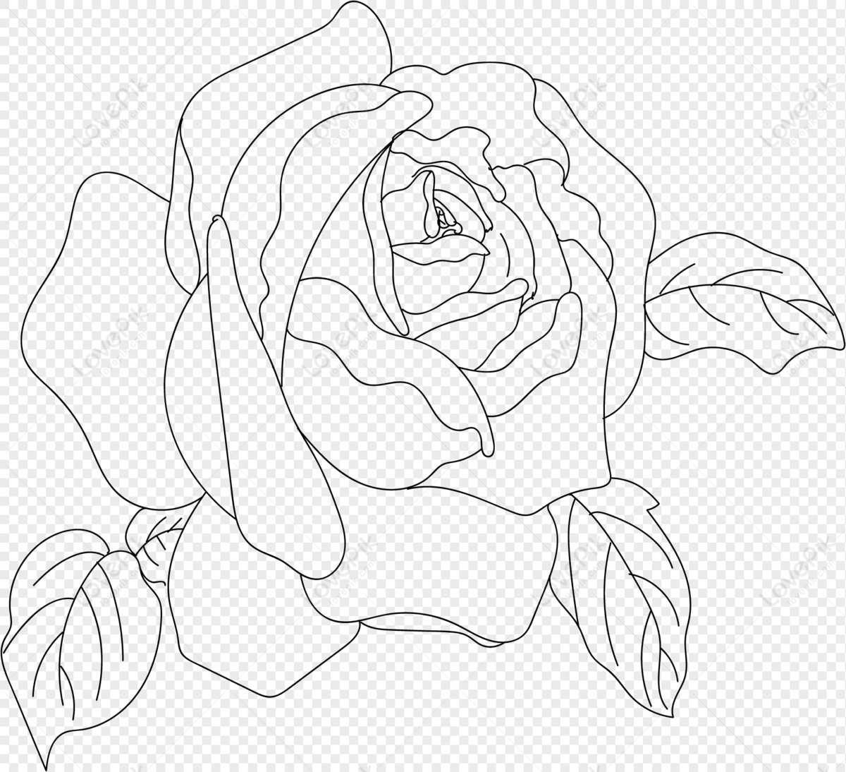 25 Beautiful Flower Drawing Information & Ideas - Brighter Craft |  Beautiful flower drawings, Roses drawing, Flower drawing