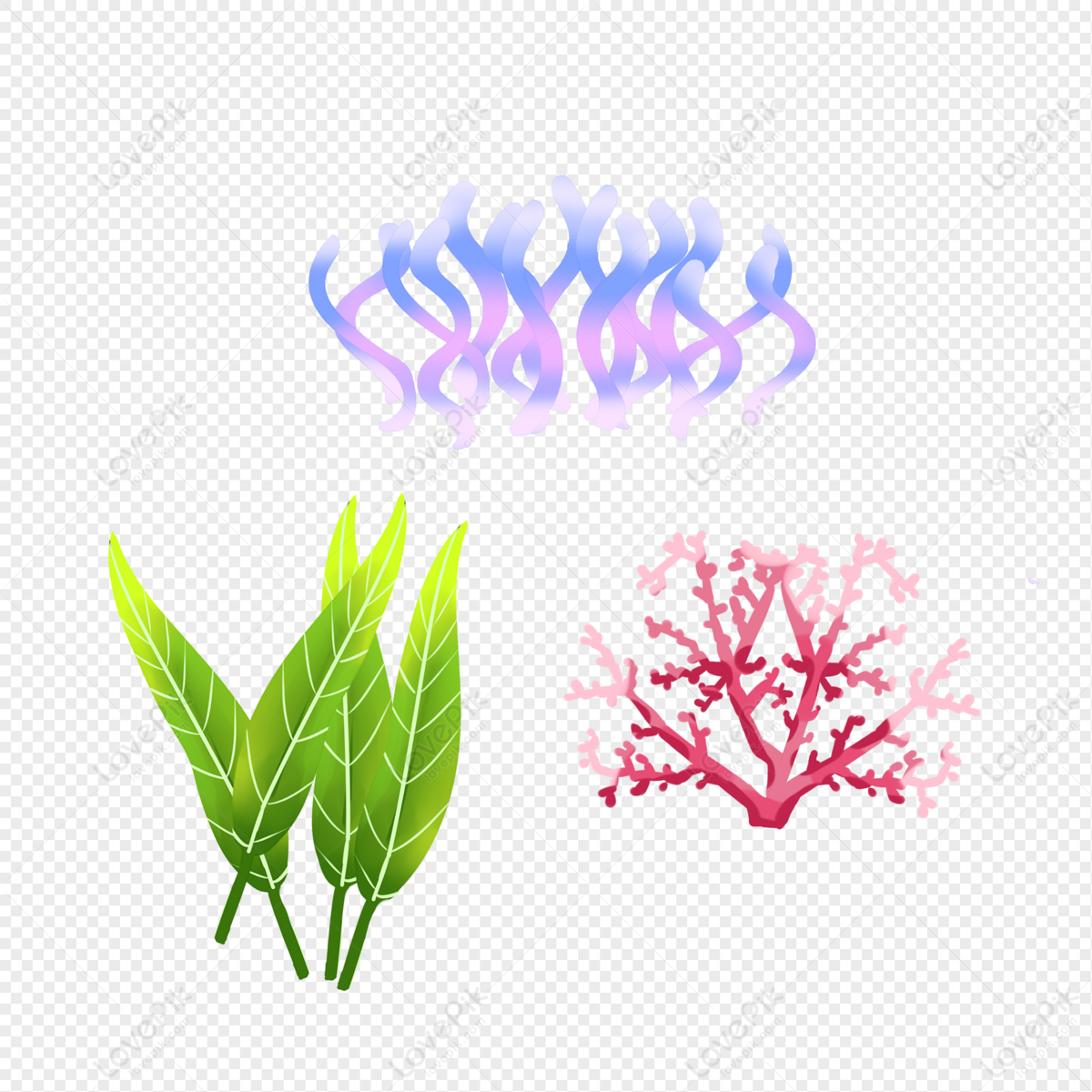 Seaweed Cartoon Hand Drawn Free PNG And Clipart Image For Free ...
