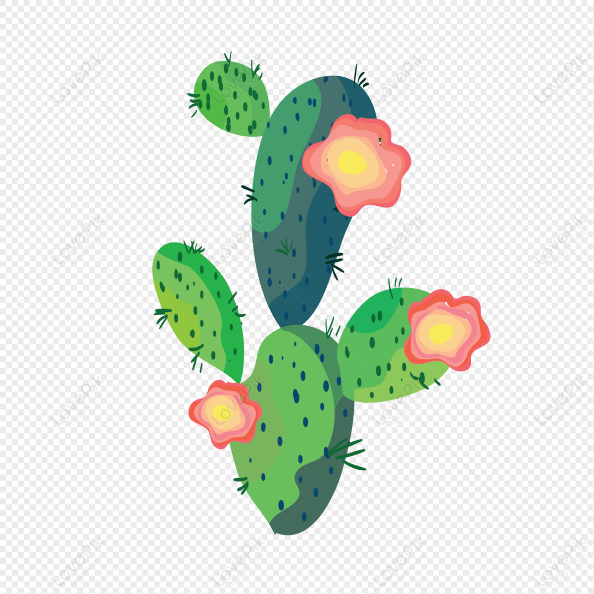 Flor De Cactus PNG Imágenes Gratis - Lovepik