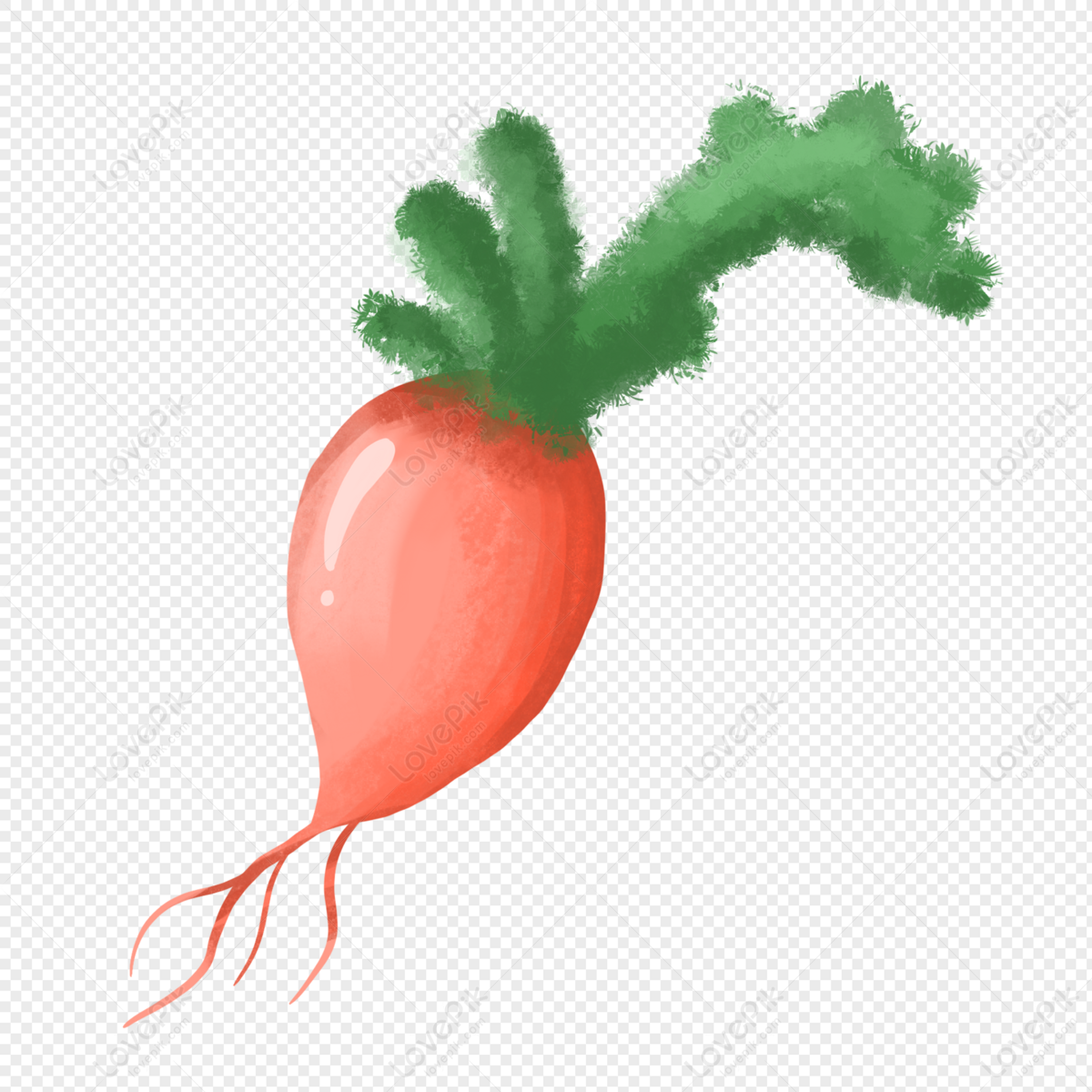 Cartoon Carrot Crop Cartoon Carrots Radish Png White Transparent And