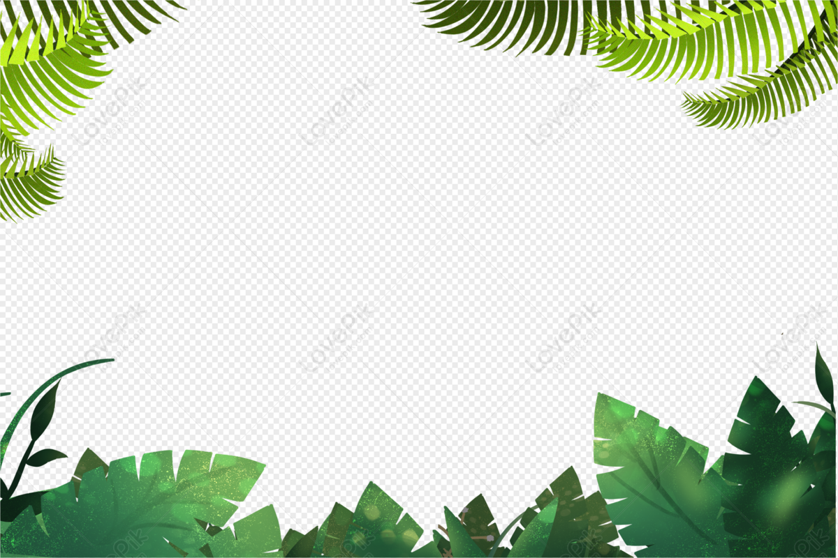 cute plant leaves border material png, summer border, material, safari leafs png transparent image