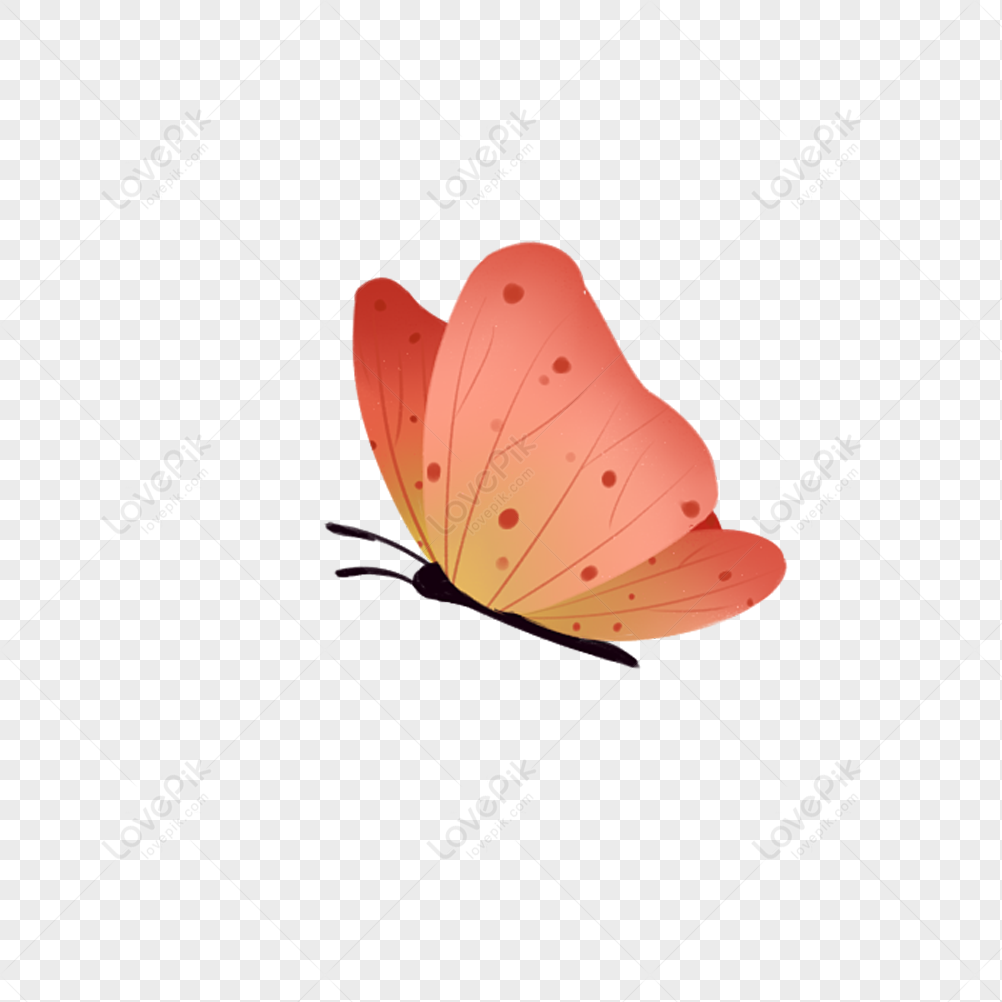 https://img.lovepik.com/free-png/20211210/lovepik-flying-butterfly-png-image_401476651_wh1200.png