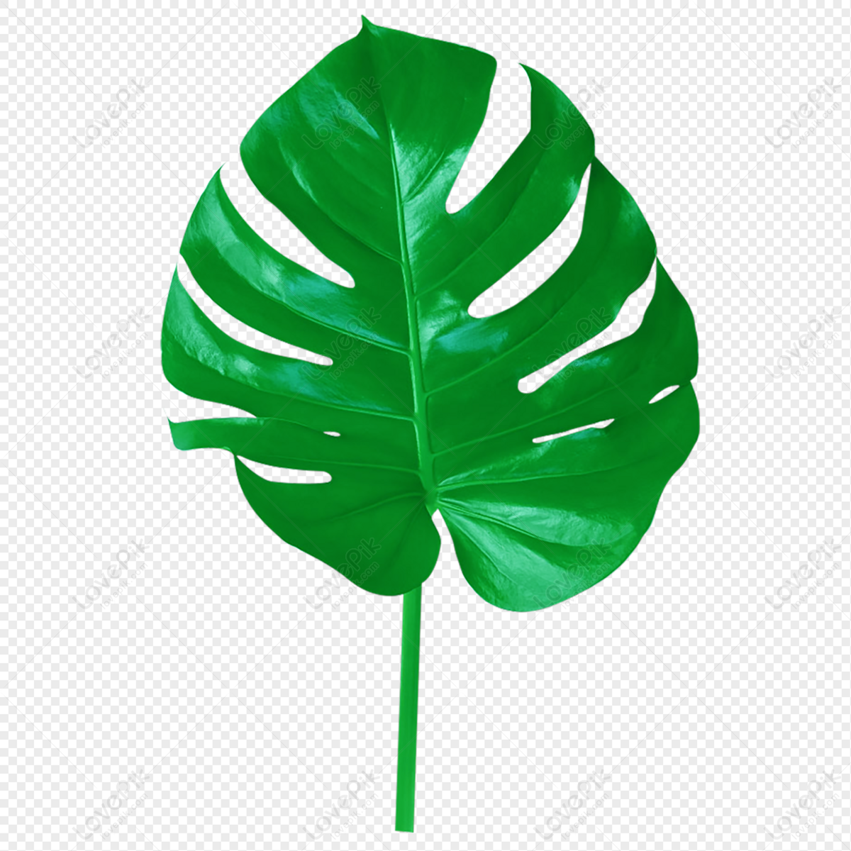 Green Vegetation Leaves, Green, Green Background, Green Png Image And 