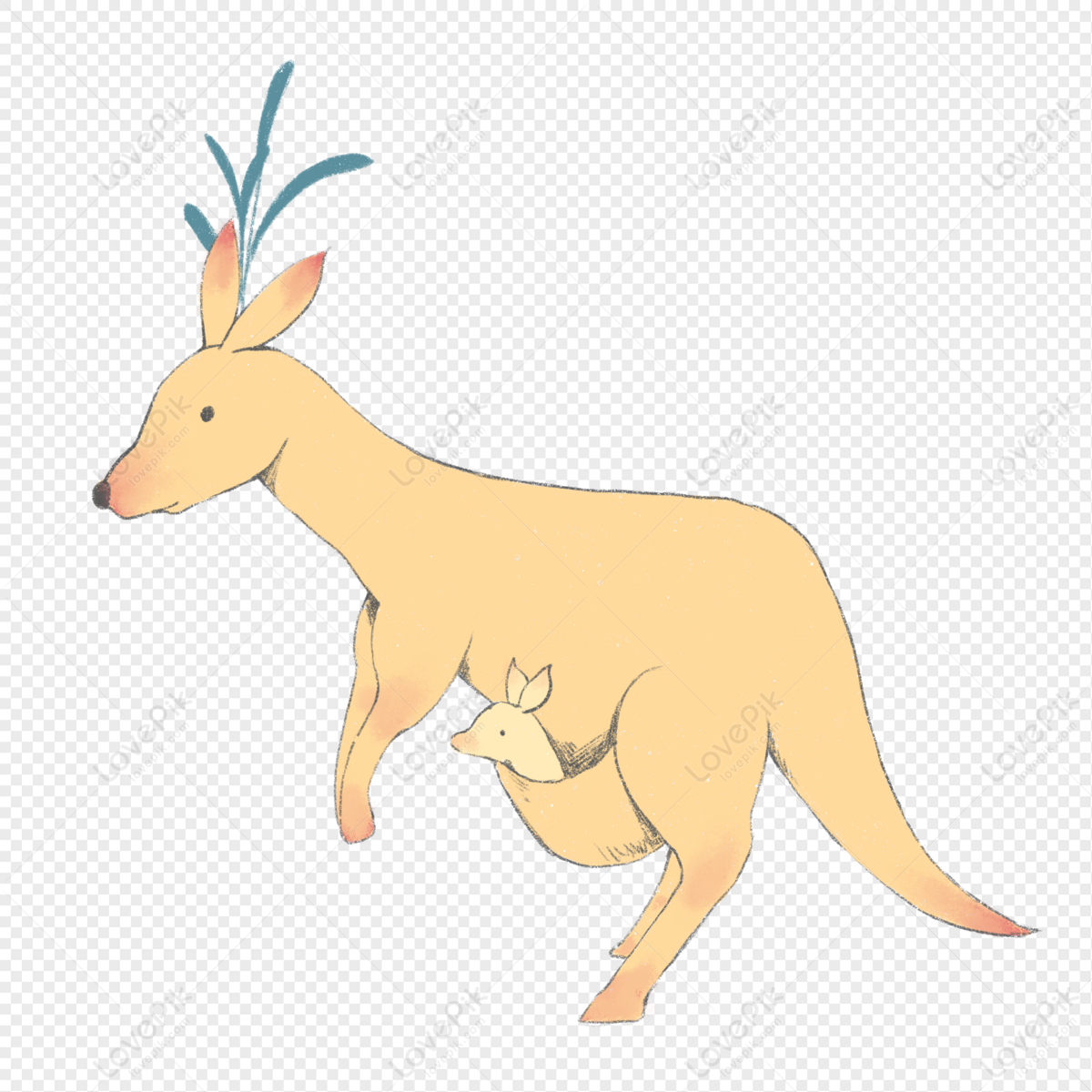Kangaroo Animation Cartoon , Cartoon Kangaroo transparent background PNG  clipart | HiClipart