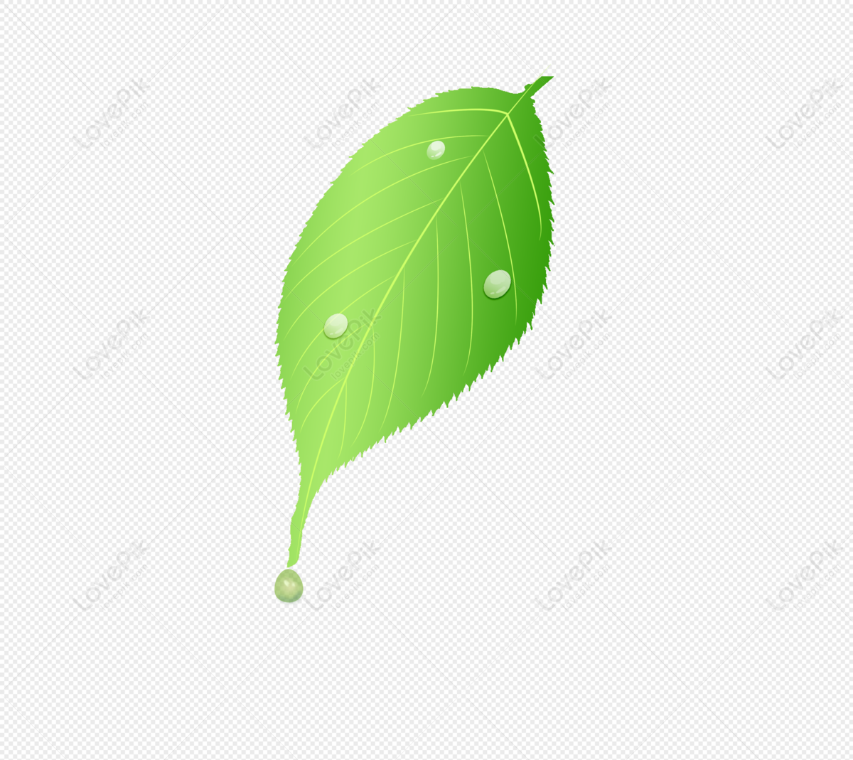 Growing Leaves PNG Images With Transparent Background | Free Download ...