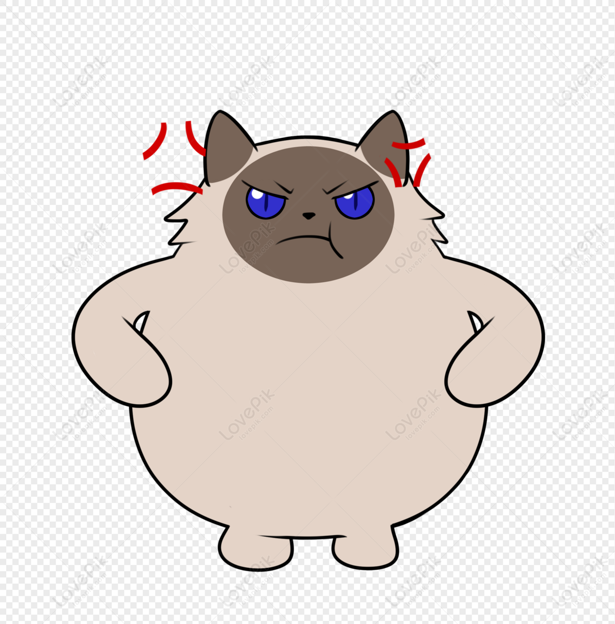 Cartoon angry cat PNG JPG (2102622)
