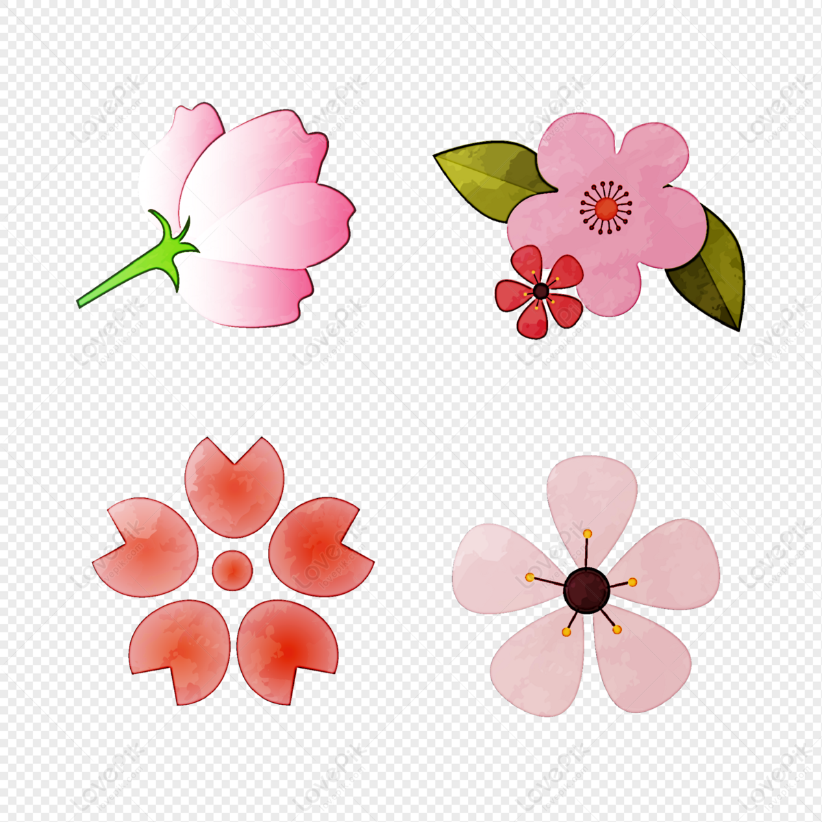 Pink flower png transparent background, Pink flower vector png hd