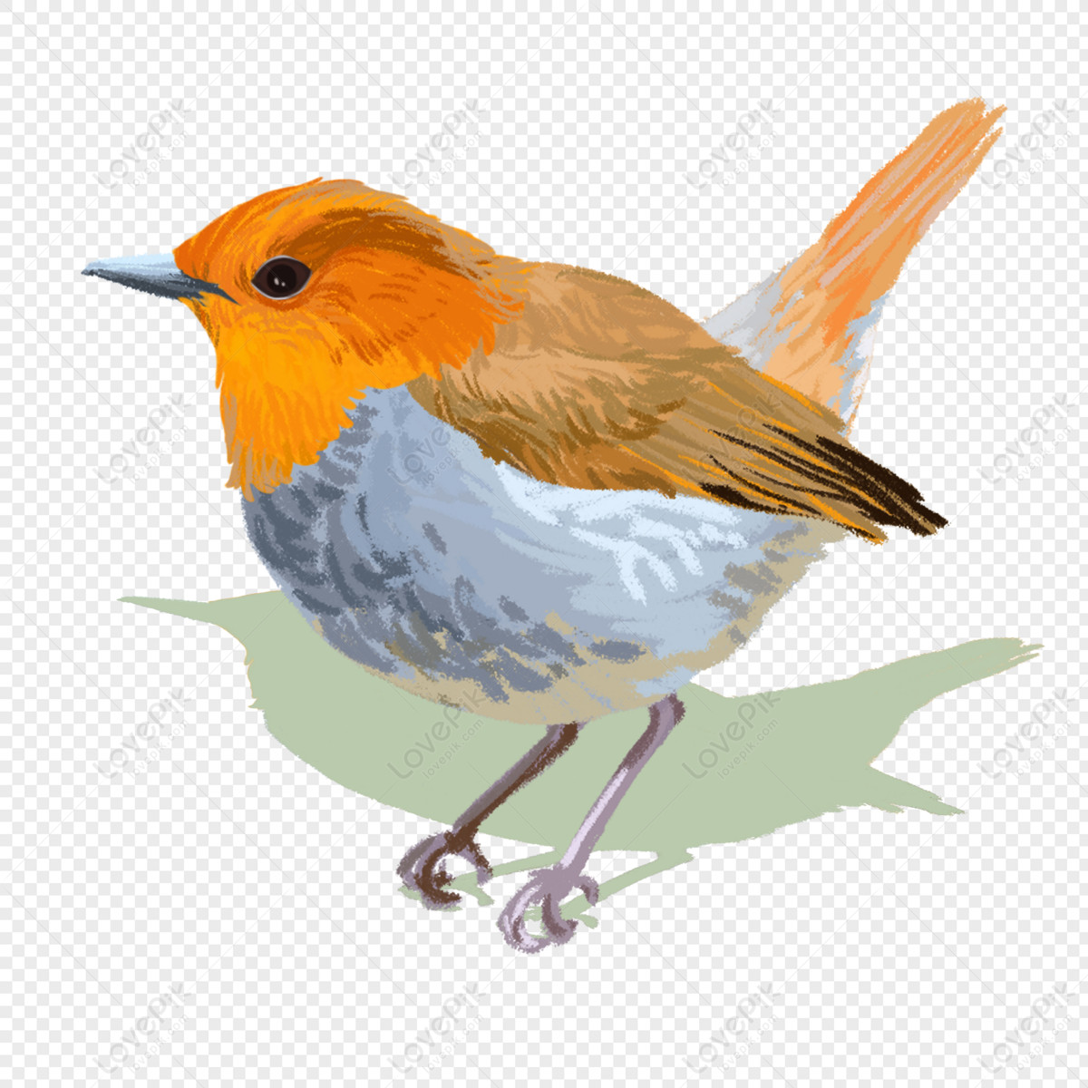 Hãy chiêm ngưỡng hình ảnh của chú chim robin tuyệt đẹp được đưa lên dưới dạng File PNG, để bạn có thể sử dụng tự do cho các tác phẩm của mình. Với chất lượng hình ảnh sắc nét, bạn sẽ không thể rời mắt khỏi nó!