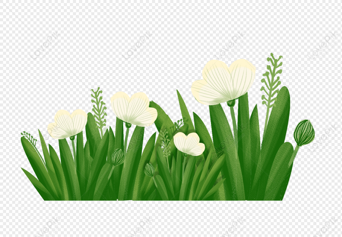 193,840 Small White Flowers Grass Images, Stock Photos, 3D objects, &  Vectors