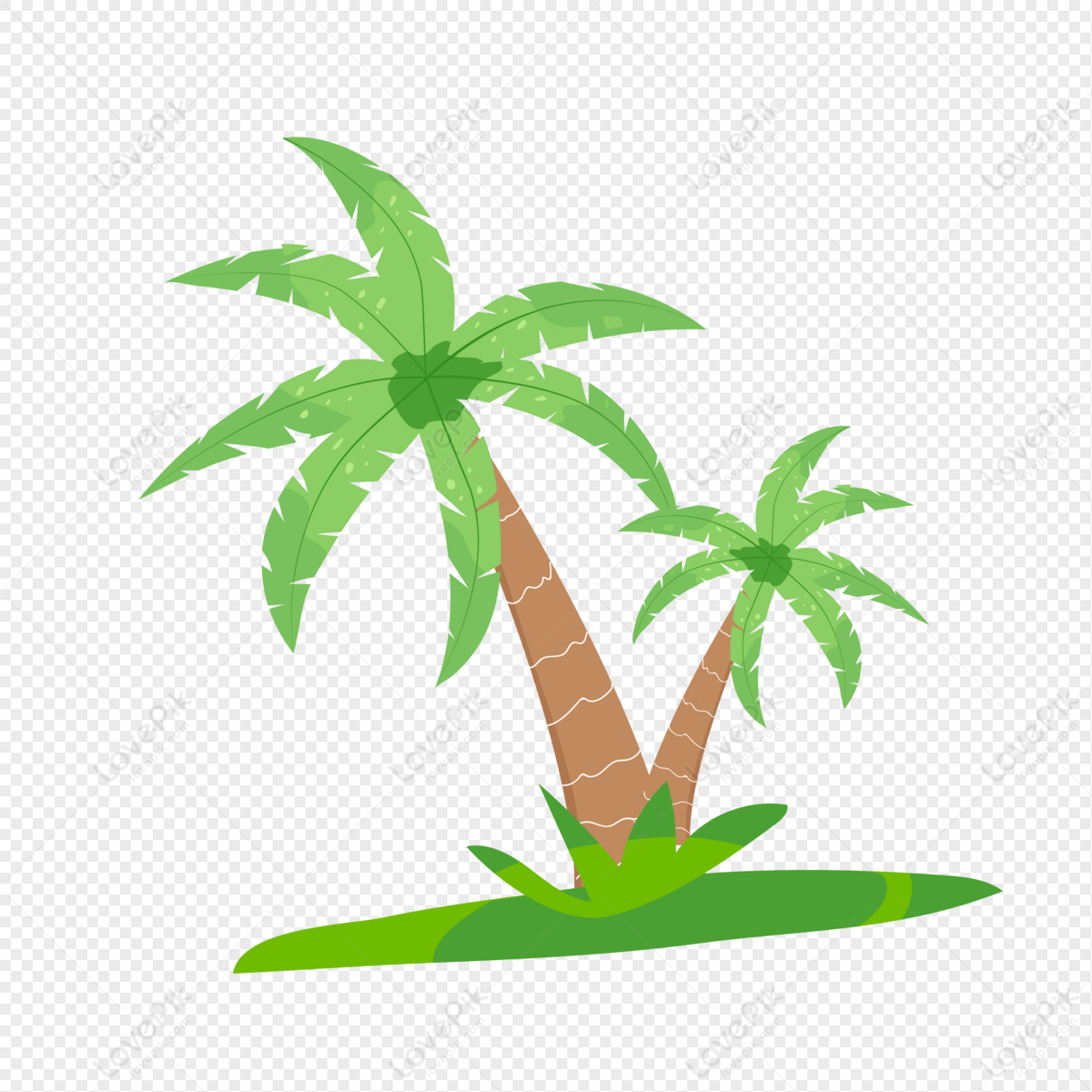 Summer Plant Coconut Tree, Tree, Summer Plants, Coconut Plant PNG ...