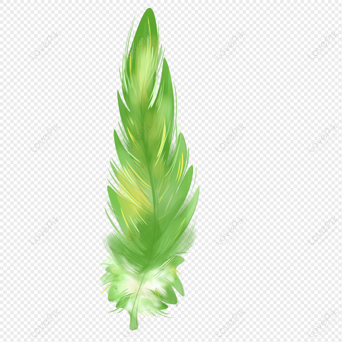 Beautiful abstract colorful white and light green feathers on white  background and dark green feather texture on white pattern and green  background Stock Photo