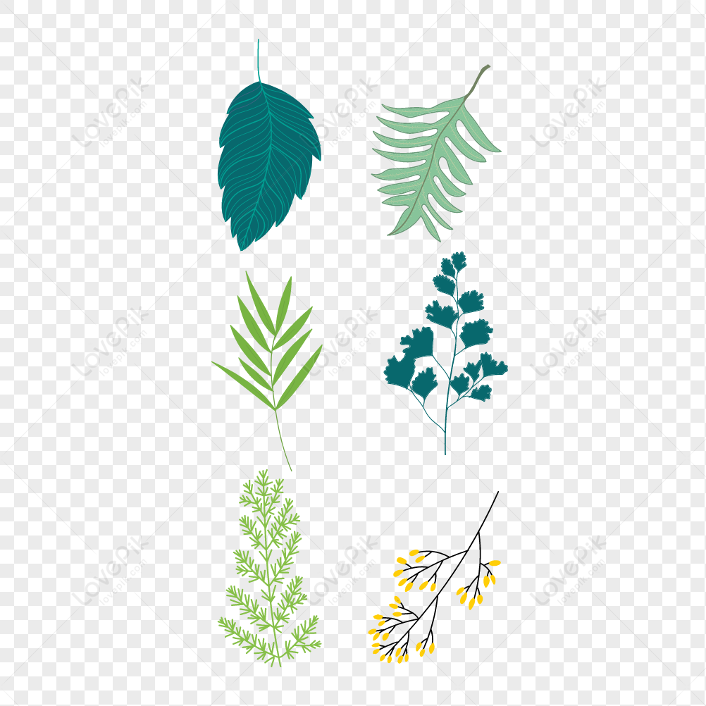 Desenho De Vegetação PNG Images, Vetores E Arquivos PSD