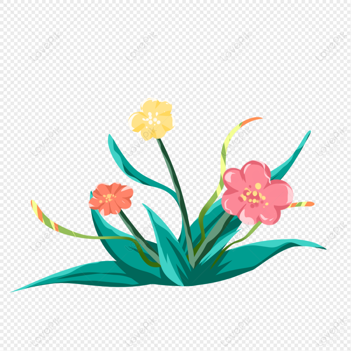 Flower Plant, Flowers, Flowers, Plants PNG White Transparent And ...