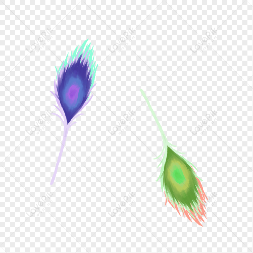 Cartoon Feather PNG Images With Transparent Background | Free Download On  Lovepik