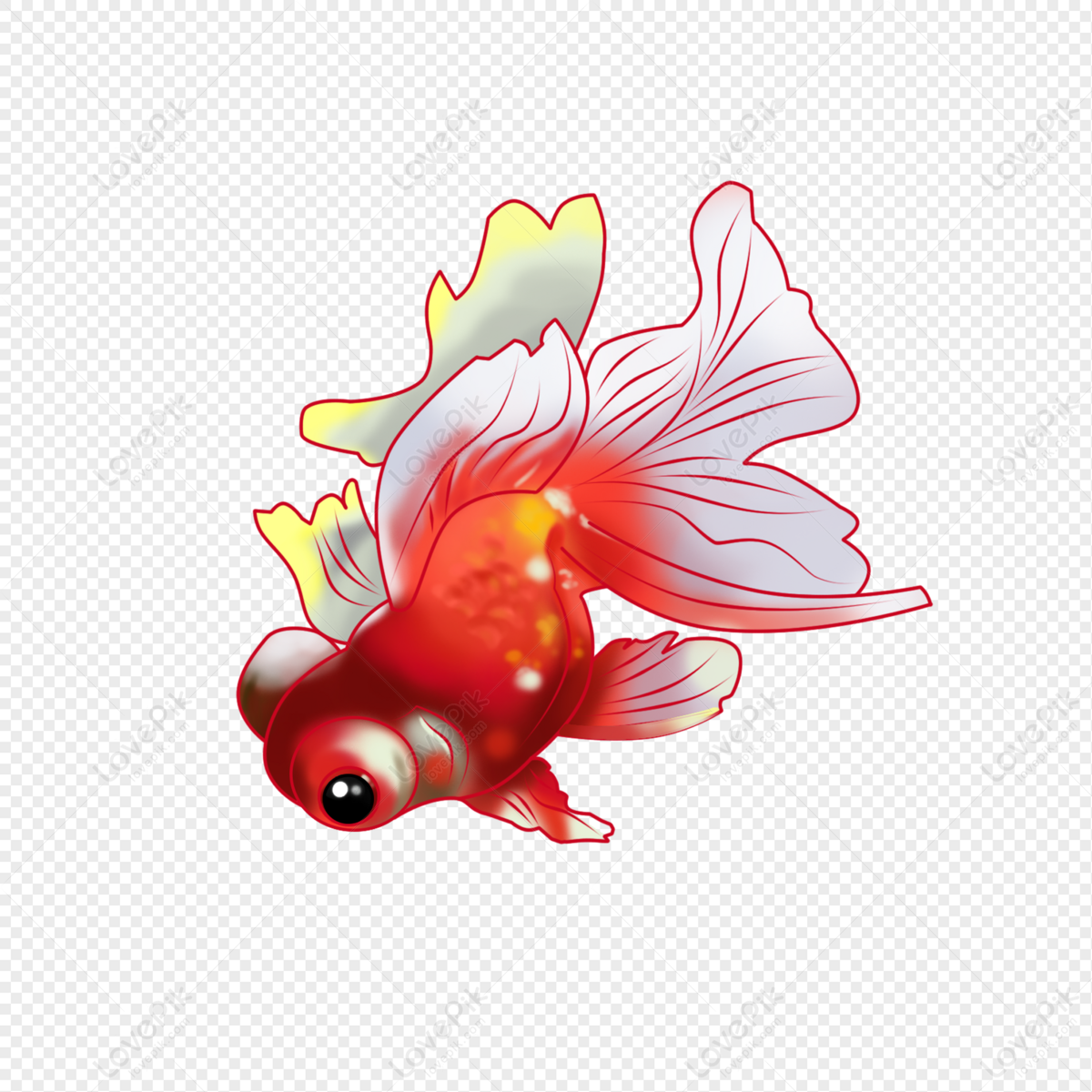 veiltail goldfish drawing