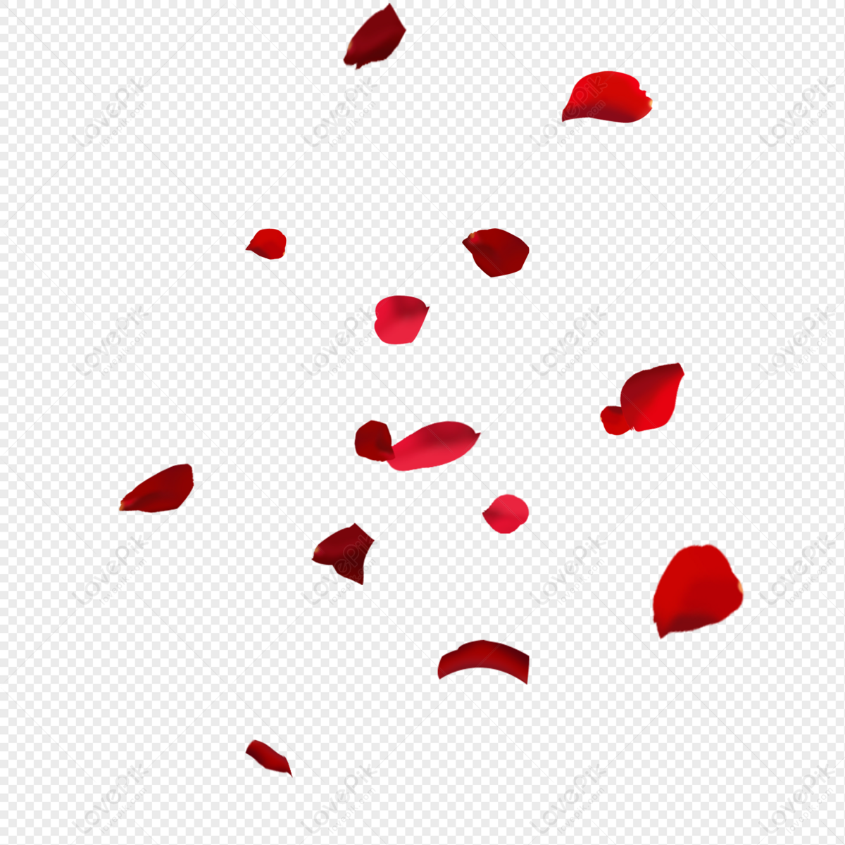 Rose Petal, Rose Petals, Petals Overlay, Petals Flying PNG Free