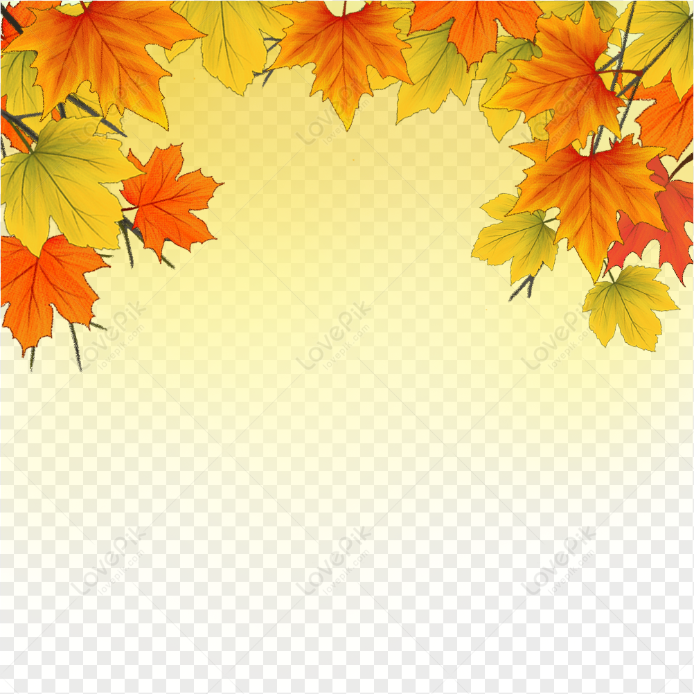 Autumn leaves border, leaves, gold, autumn png transparent image