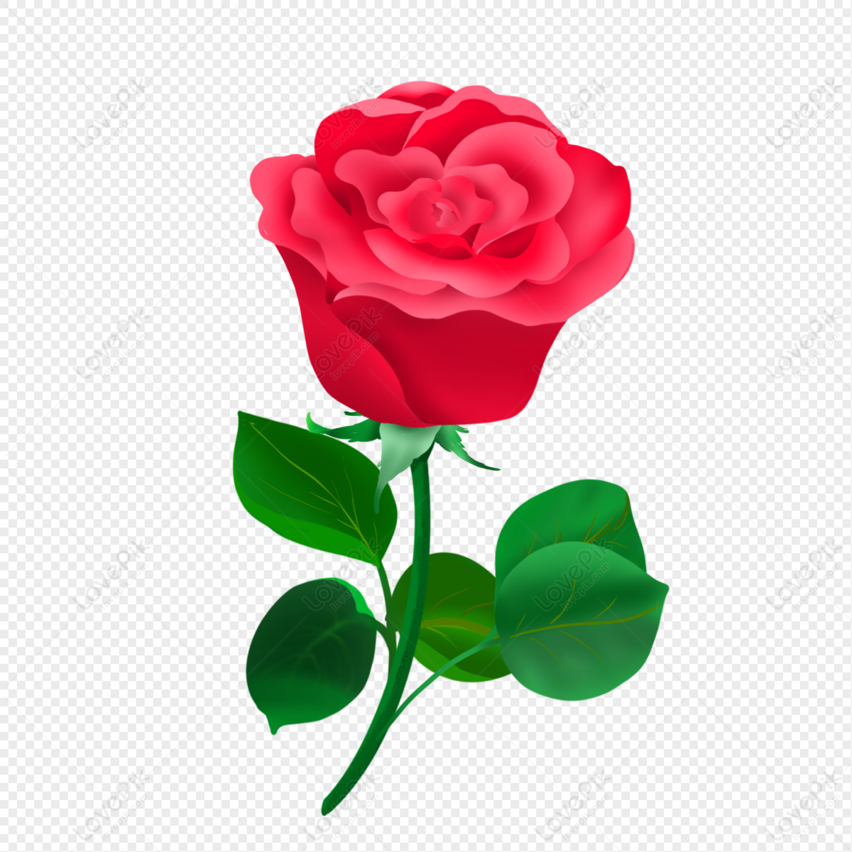 Hermosas Rosas Seductoras PNG Imágenes Gratis - Lovepik
