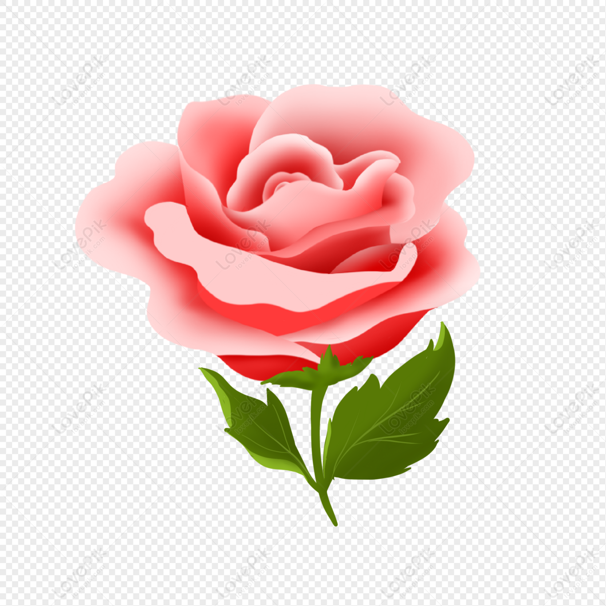 Blooming Pink Rose PNG Free Download And Clipart Image For Free ...