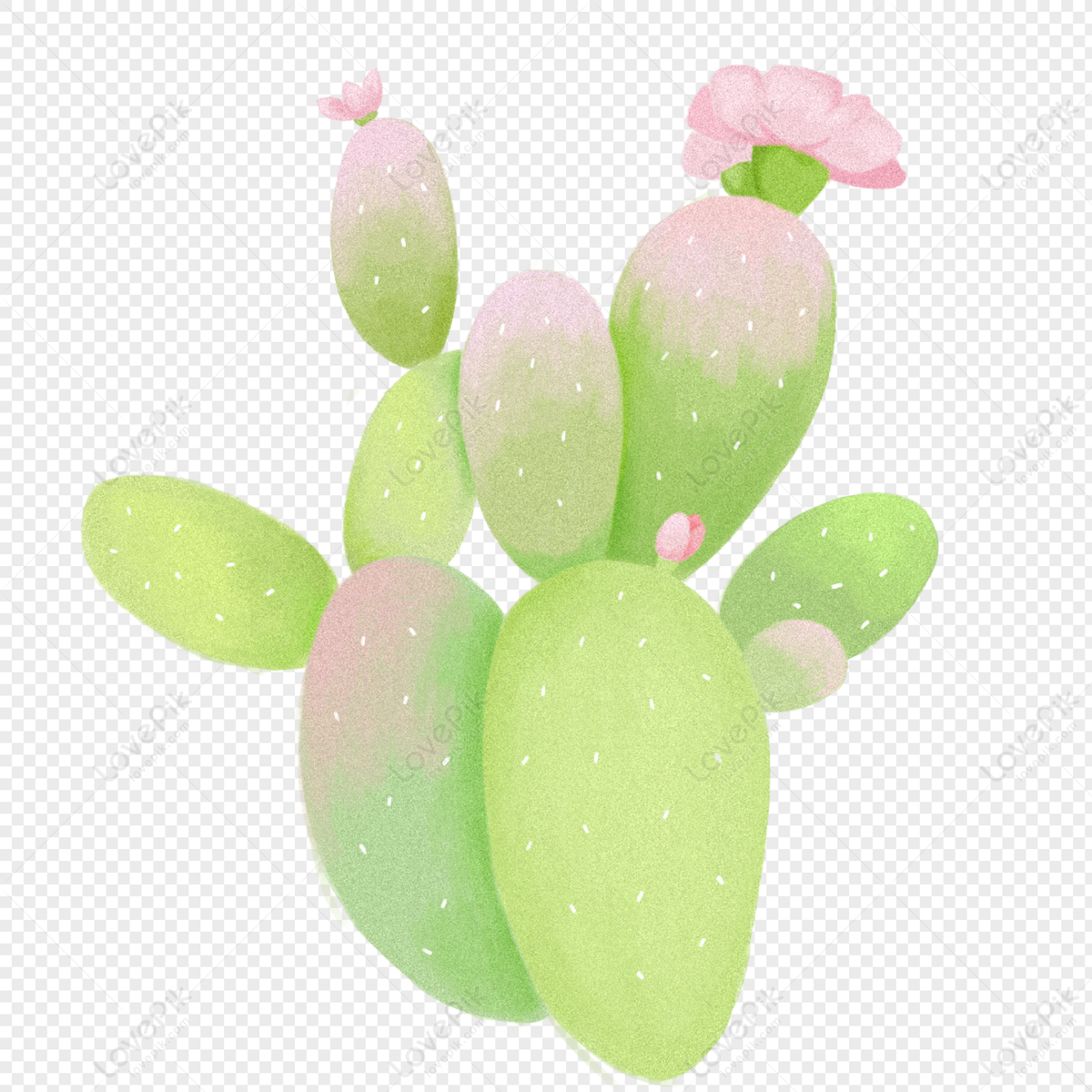 Лист кактуса 6. Cactus hand.