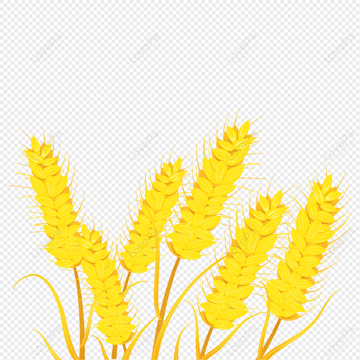 Cartoon Golden Yellow Wheat Illustration PNG Transparent And Clipart Image  For Free Download - Lovepik | 401531586