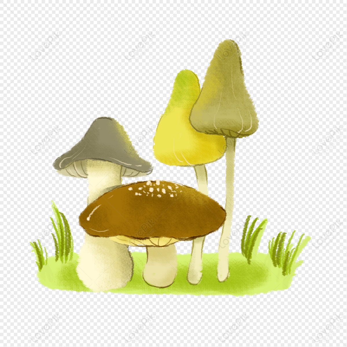 Cogumelo PNG , Clipart De Cogumelo PNG , Cogumelo PNG , Desenho Animado  Imagem PNG e PSD Para Download Gratuito