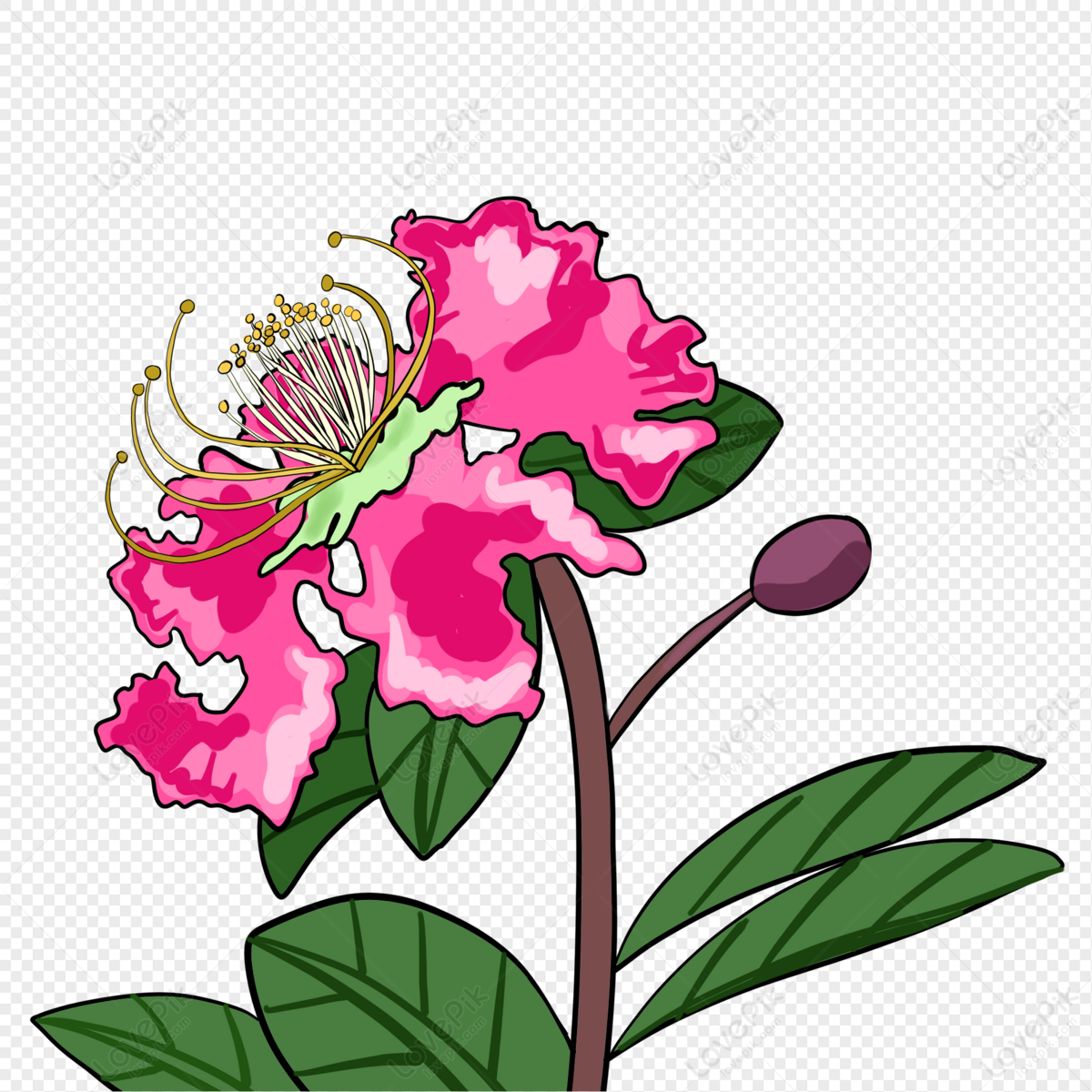 marche gilly sart clipart flower