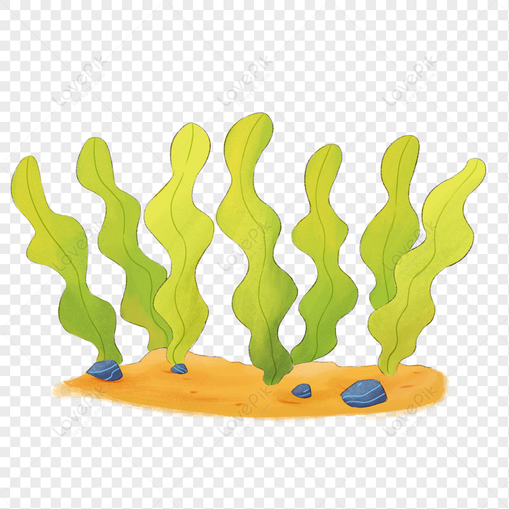 Cartoon Underwater World Green Water Grass Free PNG And Clipart Image For  Free Download - Lovepik | 401526889